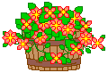 Flower bucket