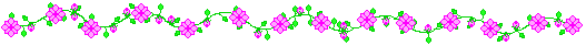 Pink flower bar.