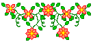 Orange flower bar