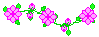 Pink flower bar