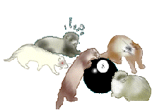 fuzzies005.gif