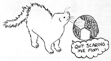 fuzzies015.jpg