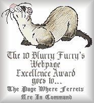 The Ten Blurry Furry's Award Site