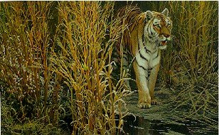 Battiger Lake