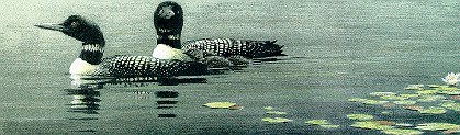 Loon Lake