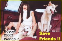 boycott6