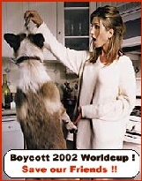 boycott77