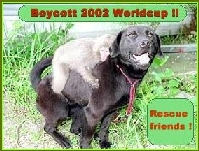 boycott99