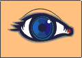 olhosani.gif (15812 bytes)