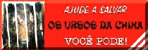 Ursos da China