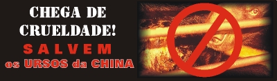 Ursos da china