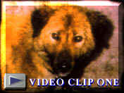 v�deo 1