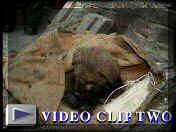 v�deo 2