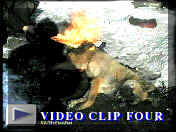 v�deo 4