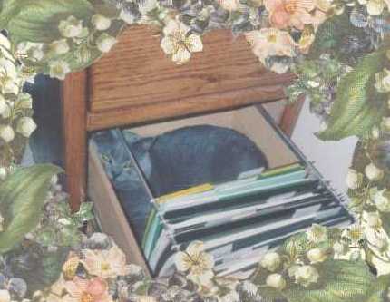 Abey does some filing