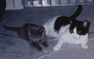 Cassie with her best friend, Noot