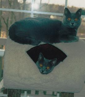 Cecille and Ashley