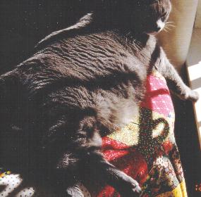 Female coat example