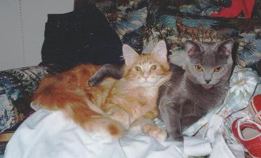 Lucie with Simba