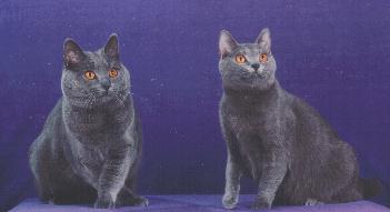 Lucien and Larissa