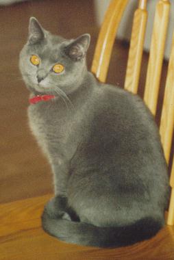 Missy