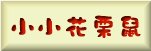 �p�p��߹�