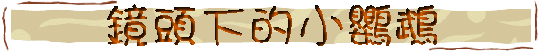 chcophotos.gif (9465 bytes)