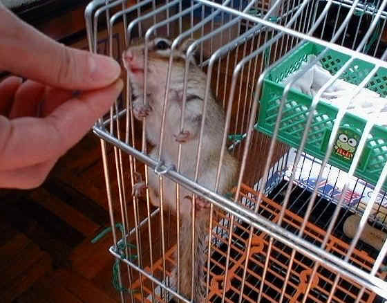 ����ͧr�I