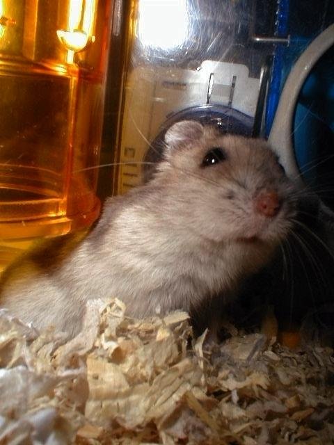 Ki Ki wishes you good luck!