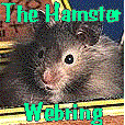rhamster1(1).gif (7997 bytes)