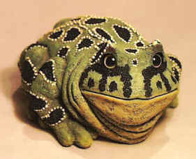 Thanks to the Frog Store