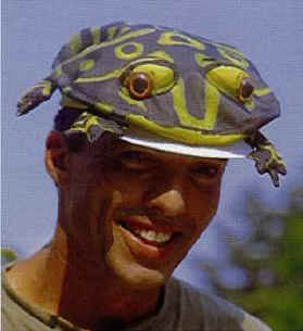Thanks to the Frog Store