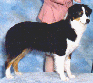 wpe24935.gif (103010 bytes)