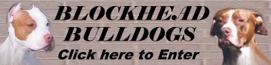 /user/blockhead.jpg