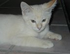 Seems hard to believe he was so little
