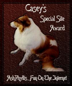 CaseySSA.jpg (19445 bytes)