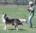 Garthsplay.jpg (8282 bytes)