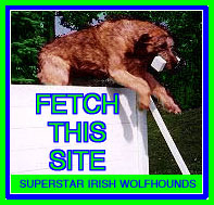 afetch.jpg (25485 bytes)
