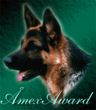 ammaaward1.gif (30111 bytes)