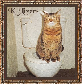 kliversadopt.jpg (36083 bytes)