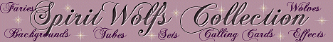 spirtcollectbanr2.gif (20240 bytes)