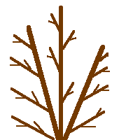 after pruning