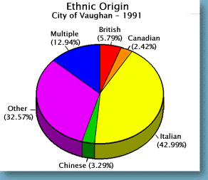 City of Vaughan - Ethnic Statistics