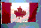 flag.gif