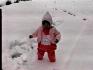 snowdip1.jpg