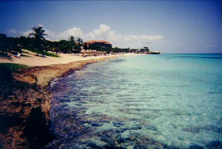 thumbnail of your picture 
#3