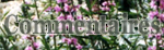Vous �tes dans la page o� vous pouvez 
laisser vos commentaires