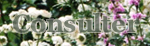 Vous �tes dans la page o� vous pouvez consulter le livre d'or