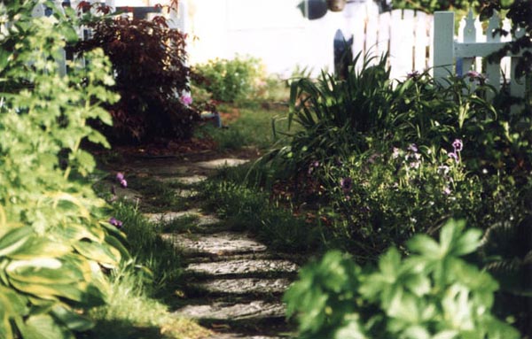 Le sentier du sous-bois