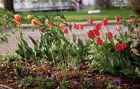 Printemps